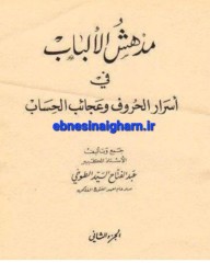 ترجمه مدهش الالباب جلد1و2