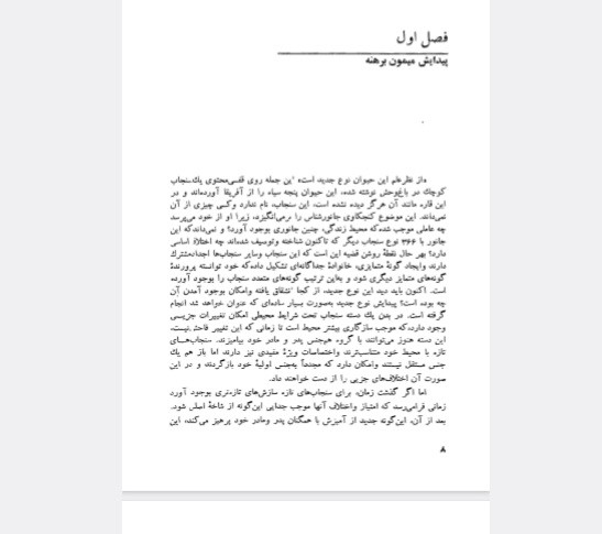 میمون برهنه