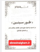 طورسینین نصربروجردی