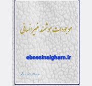 موجودات هوشمند غیر انسانی