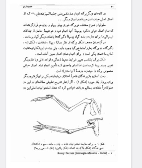 خلقت انسان