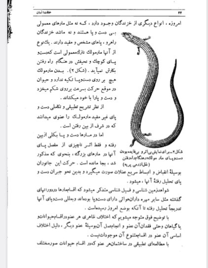 خلقت انسان