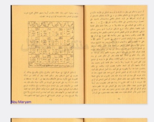 نهایه العمل فی علم الرمل للطوخی
