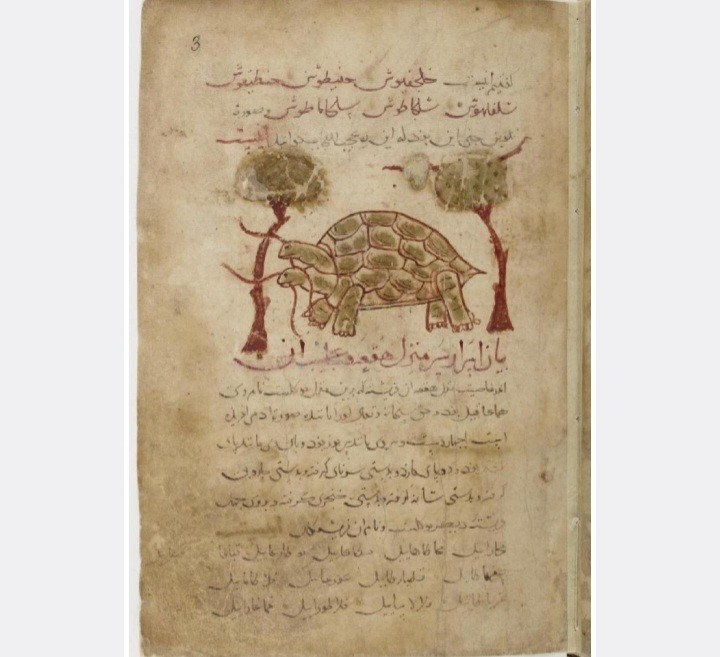 کتاب سر العهود فی استدعا ملوک الجان