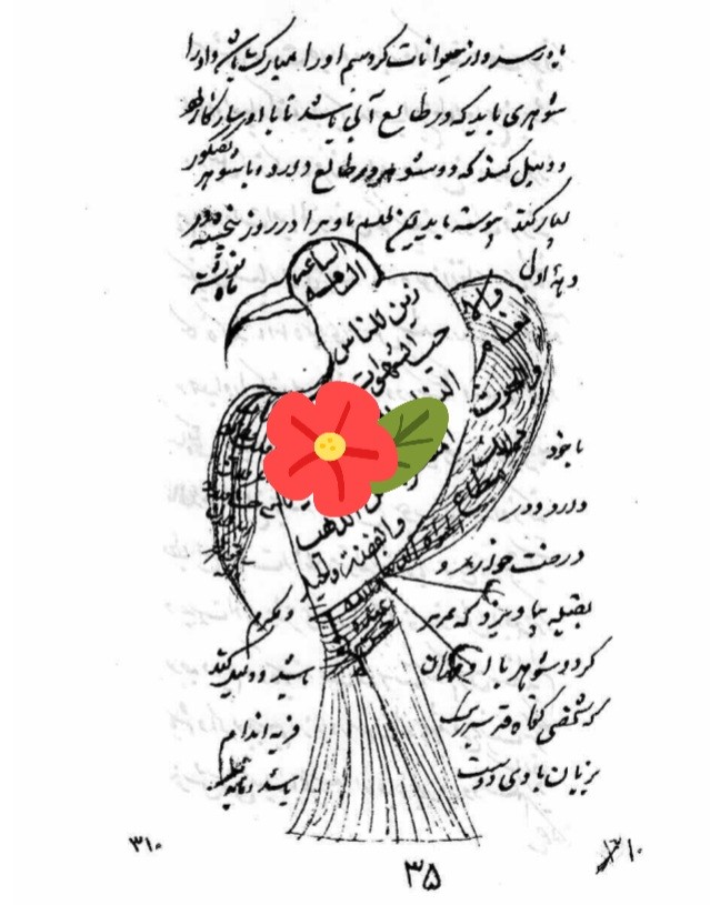دانلود مستطاب فتح الغرایب شیخ مبارکشاه بلخی