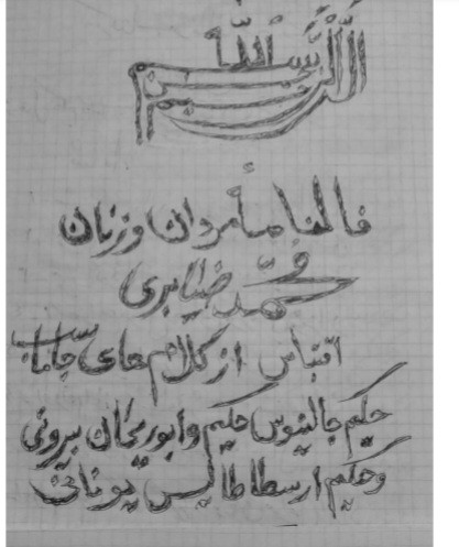 فالنامه مردان و زنان ضیابری